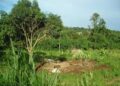 Ndaiga Sub County residents in total fear of land eviction by absent land loads.