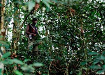 TWO UPDF SOLDIERS INJURED IN RUTSHURU AMBUSH