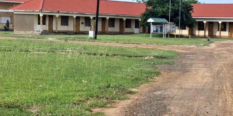 Over 2,000 Children Vaccinated Against Malaria in Buliisa.