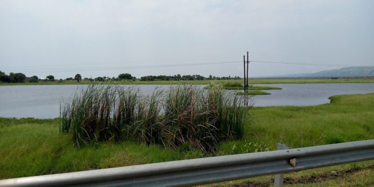 Government Moves to Regulate Lake Transport for Improved Safety