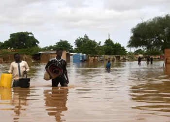 Floods Kill 47, Displace Over 56,000 in Niger.