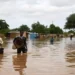 Floods Kill 47, Displace Over 56,000 in Niger.