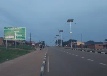 Buliisa Man Brutally Killed in Mob Attack.