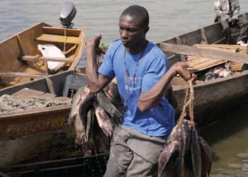 The Kikuube District Security Committee  to conduct regular patrols on Lake Albert to curb insecurity.