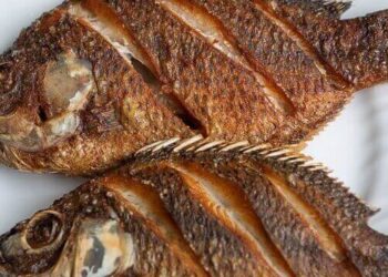 Is Silver Fish More Nutritious Than Tilapia?