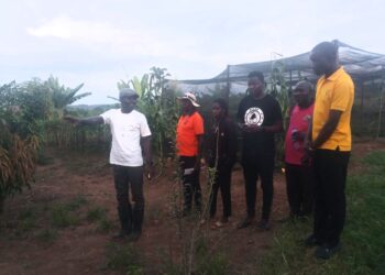 Kikuube RDC Godwin Angalia Urges Buliisa Residents to Embrace Wealth Creation for Poverty Eradication