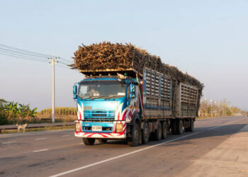 Government Sets Shs125,000 Minimum Sugarcane Price as Farmers Demand Better Pay