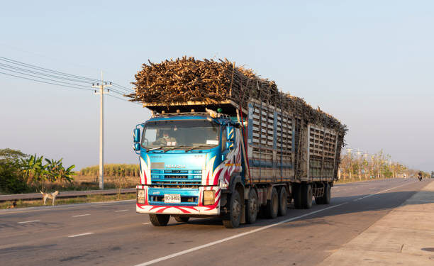 Government Sets Shs125,000 Minimum Sugarcane Price as Farmers Demand Better Pay