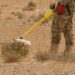 UN Warns of Rising Landmine Deaths as Funding Cuts Threaten Demining Operations