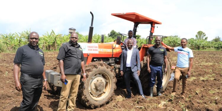 LEGS Project Sparks Economic Growth Along Lake Albert Shores